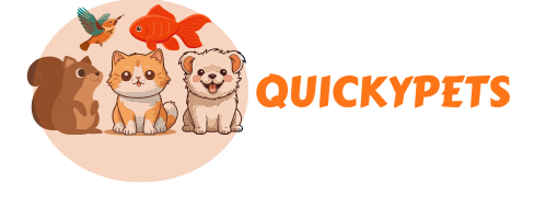 quickypets.com